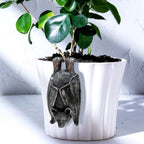 Bat planter edge decoration for plant lovers