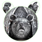 Halloween bat decorative sculpture for garden pots