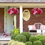 Lush Spring Bougainvillea Hanging Basket with Natural Coco Liner (UV-Protected)